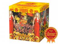 Красивая жизнь Фейерверк купить в Мурашах | murashi.salutsklad.ru