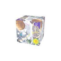 Новогодняя ночь Салют купить в Мурашах | murashi.salutsklad.ru