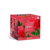 Пионы Салют купить в Мурашах | murashi.salutsklad.ru