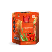 Тюльпаны Салют купить в Мурашах | murashi.salutsklad.ru