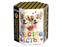 Счастье есть! Салют купить в Мурашах | murashi.salutsklad.ru