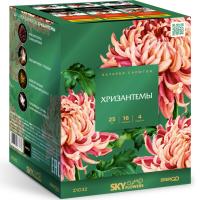 Хризантемы Фейерверк купить в Мурашах | murashi.salutsklad.ru