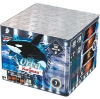 Косатка Фейерверк купить в Мурашах | murashi.salutsklad.ru