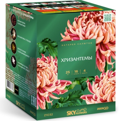 Хризантемы Фейерверк купить в Мурашах | murashi.salutsklad.ru