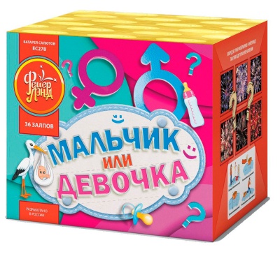 Мальчик или девочка М Фейерверк купить в Мурашах | murashi.salutsklad.ru